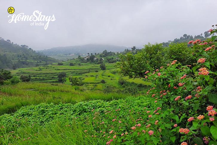 Dwarahat Village Homestay- Pahadi Ghar Bagian luar foto