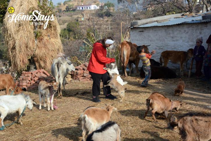Dwarahat Village Homestay- Pahadi Ghar Bagian luar foto